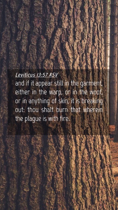 Picture 04 - Leviticus 13:57 ASV Mobile Phone Wallpaper - and if it appear still in the garment, either in - Mobile Bible Verse Wallpaper