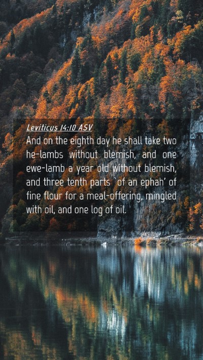 Picture 04 - Leviticus 14:10 ASV Mobile Phone Wallpaper - And on the eighth day he shall take two he-lambs - Mobile Bible Verse Wallpaper
