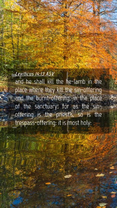 Picture 04 - Leviticus 14:13 ASV Mobile Phone Wallpaper - and he shall kill the he-lamb in the place where - Mobile Bible Verse Wallpaper