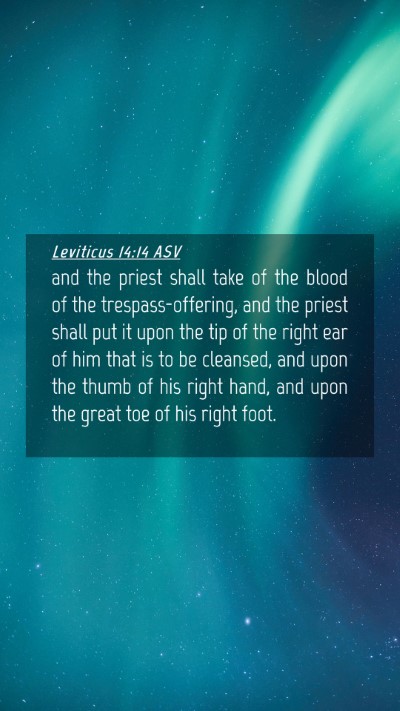 Picture 04 - Leviticus 14:14 ASV Mobile Phone Wallpaper - and the priest shall take of the blood of the - Mobile Bible Verse Wallpaper