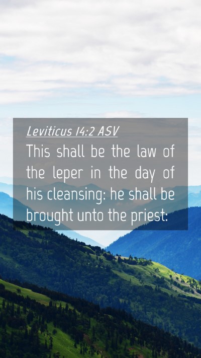 Picture 04 - Leviticus 14:2 ASV Mobile Phone Wallpaper - This shall be the law of the leper in the day of - Mobile Bible Verse Wallpaper