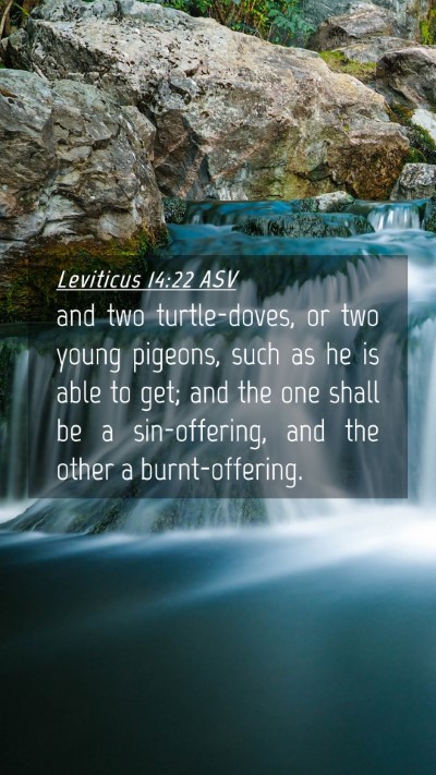 Picture 04 - Leviticus 14:22 ASV Mobile Phone Wallpaper - and two turtle-doves, or two young pigeons, such - Mobile Bible Verse Wallpaper