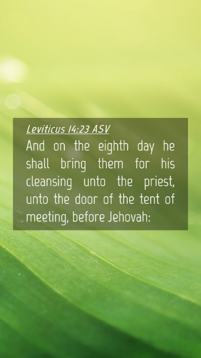 Picture 04 - Leviticus 14:23 ASV Mobile Phone Wallpaper - And on the eighth day he shall bring them for his - Mobile Bible Verse Wallpaper