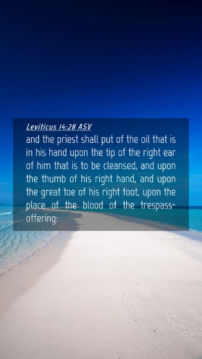 Picture 04 - Leviticus 14:28 ASV Mobile Phone Wallpaper - and the priest shall put of the oil that is in - Mobile Bible Verse Wallpaper