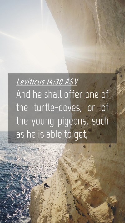 Picture 04 - Leviticus 14:30 ASV Mobile Phone Wallpaper - And he shall offer one of the turtle-doves, or of - Mobile Bible Verse Wallpaper
