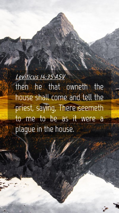 Picture 04 - Leviticus 14:35 ASV Mobile Phone Wallpaper - then he that owneth the house shall come and tell - Mobile Bible Verse Wallpaper