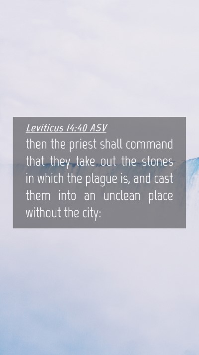Picture 04 - Leviticus 14:40 ASV Mobile Phone Wallpaper - then the priest shall command that they take out - Mobile Bible Verse Wallpaper