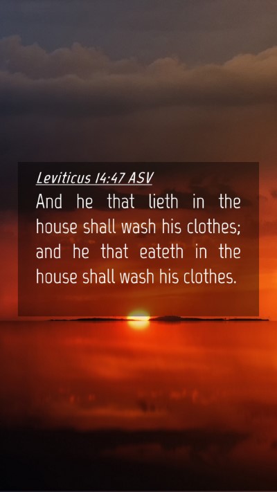 Picture 04 - Leviticus 14:47 ASV Mobile Phone Wallpaper - And he that lieth in the house shall wash his - Mobile Bible Verse Wallpaper