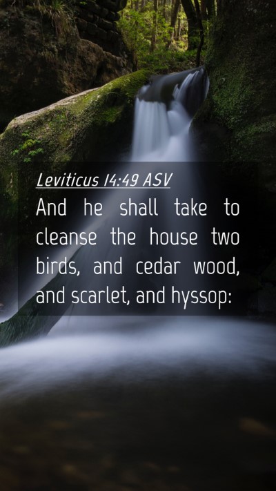Picture 04 - Leviticus 14:49 ASV Mobile Phone Wallpaper - And he shall take to cleanse the house two birds, - Mobile Bible Verse Wallpaper