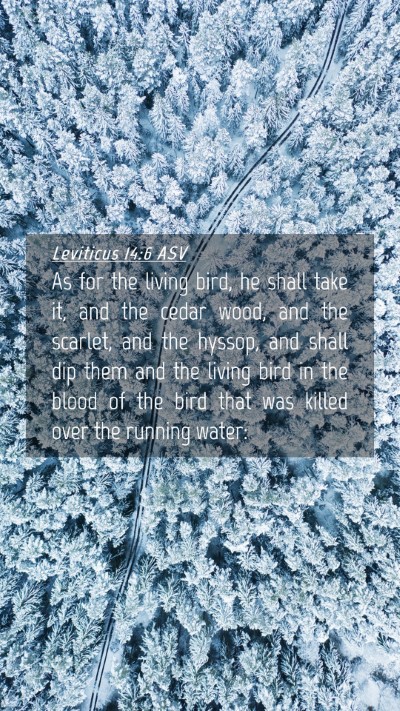 Picture 04 - Leviticus 14:6 ASV Mobile Phone Wallpaper - As for the living bird, he shall take it, and the - Mobile Bible Verse Wallpaper