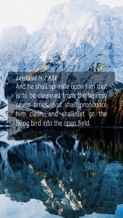 Picture 04 - Leviticus 14:7 ASV Mobile Phone Wallpaper - And he shall sprinkle upon him that is to be - Mobile Bible Verse Wallpaper