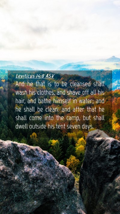 Picture 04 - Leviticus 14:8 ASV Mobile Phone Wallpaper - And he that is to be cleansed shall wash his - Mobile Bible Verse Wallpaper