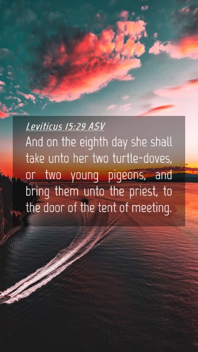 Picture 04 - Leviticus 15:29 ASV Mobile Phone Wallpaper - And on the eighth day she shall take unto her two - Mobile Bible Verse Wallpaper