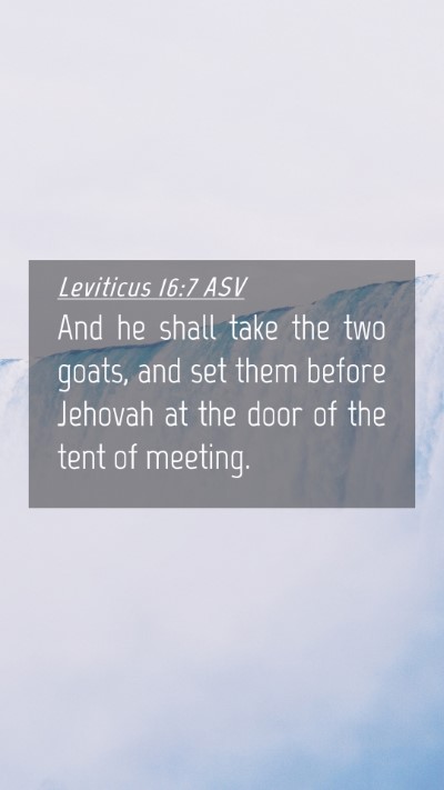 Picture 04 - Leviticus 16:7 ASV Mobile Phone Wallpaper - And he shall take the two goats, and set them - Mobile Bible Verse Wallpaper