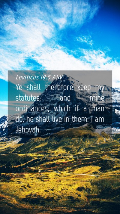 Picture 04 - Leviticus 18:5 ASV Mobile Phone Wallpaper - Ye shall therefore keep my statutes, and mine - Mobile Bible Verse Wallpaper
