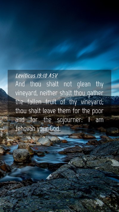 Picture 04 - Leviticus 19:10 ASV Mobile Phone Wallpaper - And thou shalt not glean thy vineyard, neither - Mobile Bible Verse Wallpaper