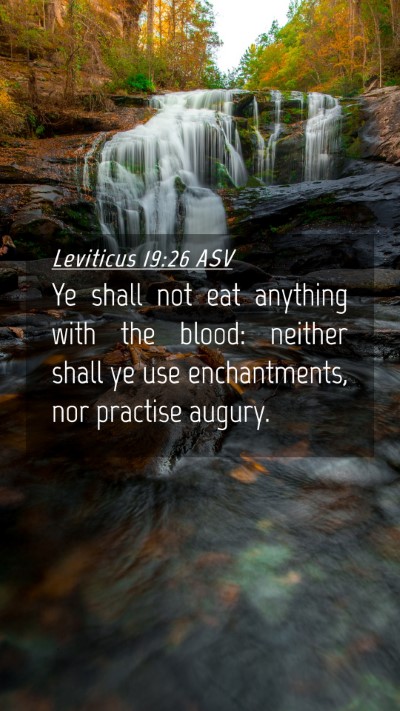 Picture 04 - Leviticus 19:26 ASV Mobile Phone Wallpaper - Ye shall not eat anything with the blood: neither - Mobile Bible Verse Wallpaper
