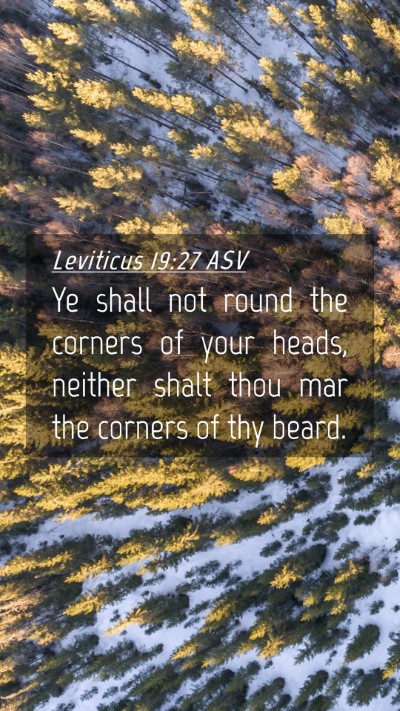 Picture 04 - Leviticus 19:27 ASV Mobile Phone Wallpaper - Ye shall not round the corners of your heads, - Mobile Bible Verse Wallpaper