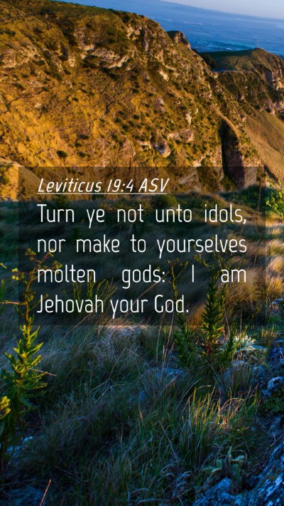 Picture 04 - Leviticus 19:4 ASV Mobile Phone Wallpaper - Turn ye not unto idols, nor make to yourselves - Mobile Bible Verse Wallpaper