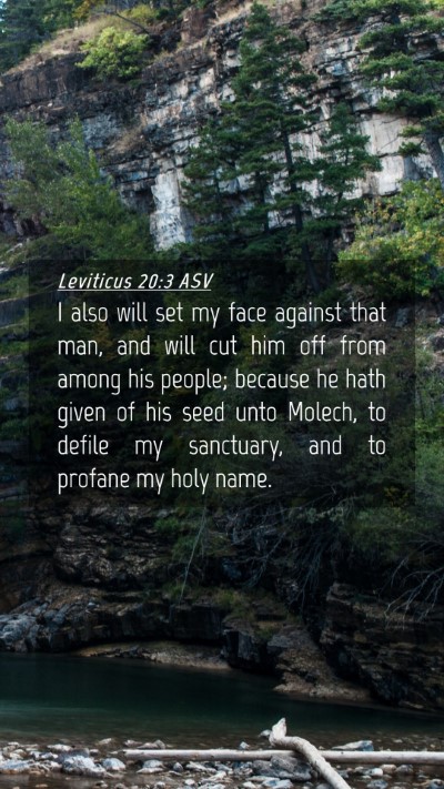 Picture 04 - Leviticus 20:3 ASV Mobile Phone Wallpaper - I also will set my face against that man, and - Mobile Bible Verse Wallpaper