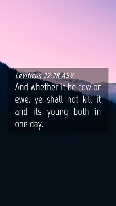 Picture 04 - Leviticus 22:28 ASV Mobile Phone Wallpaper - And whether it be cow or ewe, ye shall not kill - Mobile Bible Verse Wallpaper