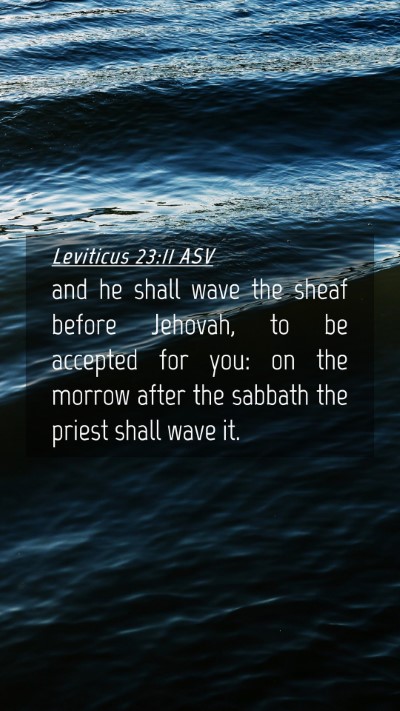 Picture 04 - Leviticus 23:11 ASV Mobile Phone Wallpaper - and he shall wave the sheaf before Jehovah, to be - Mobile Bible Verse Wallpaper