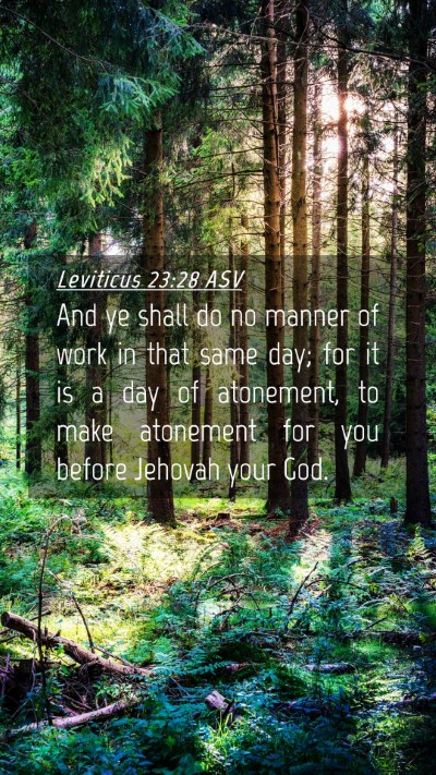Picture 04 - Leviticus 23:28 ASV Mobile Phone Wallpaper - And ye shall do no manner of work in that same - Mobile Bible Verse Wallpaper