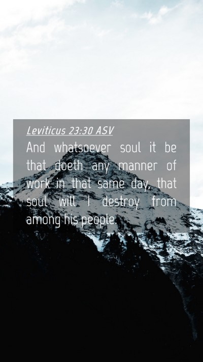 Picture 04 - Leviticus 23:30 ASV Mobile Phone Wallpaper - And whatsoever soul it be that doeth any manner - Mobile Bible Verse Wallpaper