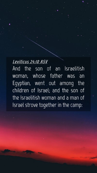 Picture 04 - Leviticus 24:10 ASV Mobile Phone Wallpaper - And the son of an Israelitish woman, whose father - Mobile Bible Verse Wallpaper