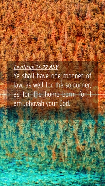 Picture 04 - Leviticus 24:22 ASV Mobile Phone Wallpaper - Ye shall have one manner of law, as well for the - Mobile Bible Verse Wallpaper