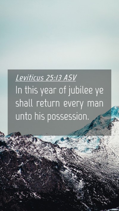 Picture 04 - Leviticus 25:13 ASV Mobile Phone Wallpaper - In this year of jubilee ye shall return every man - Mobile Bible Verse Wallpaper