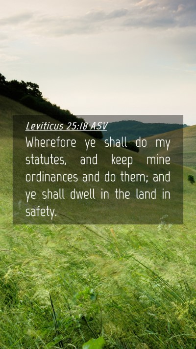 Picture 04 - Leviticus 25:18 ASV Mobile Phone Wallpaper - Wherefore ye shall do my statutes, and keep mine - Mobile Bible Verse Wallpaper