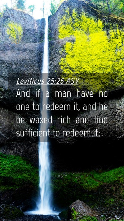 Picture 04 - Leviticus 25:26 ASV Mobile Phone Wallpaper - And if a man have no one to redeem it, and he be - Mobile Bible Verse Wallpaper