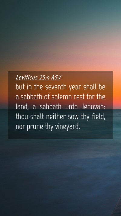 Picture 04 - Leviticus 25:4 ASV Mobile Phone Wallpaper - but in the seventh year shall be a sabbath of - Mobile Bible Verse Wallpaper