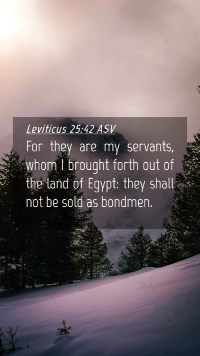 Picture 04 - Leviticus 25:42 ASV Mobile Phone Wallpaper - For they are my servants, whom I brought forth - Mobile Bible Verse Wallpaper