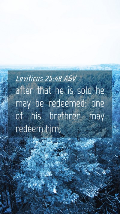 Picture 04 - Leviticus 25:48 ASV Mobile Phone Wallpaper - after that he is sold he may be redeemed: one of - Mobile Bible Verse Wallpaper