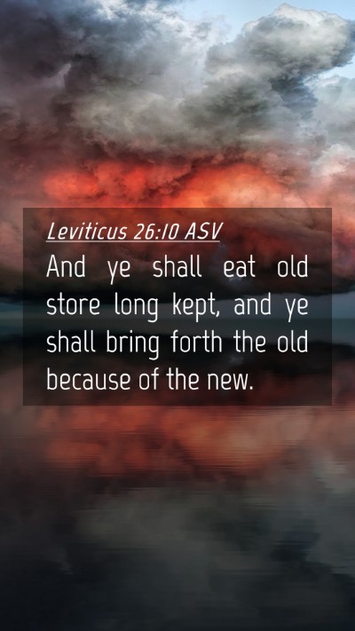 Picture 04 - Leviticus 26:10 ASV Mobile Phone Wallpaper - And ye shall eat old store long kept, and ye - Mobile Bible Verse Wallpaper
