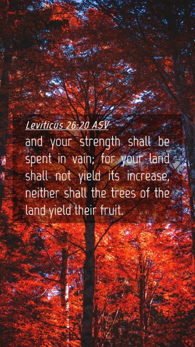 Picture 04 - Leviticus 26:20 ASV Mobile Phone Wallpaper - and your strength shall be spent in vain; for - Mobile Bible Verse Wallpaper