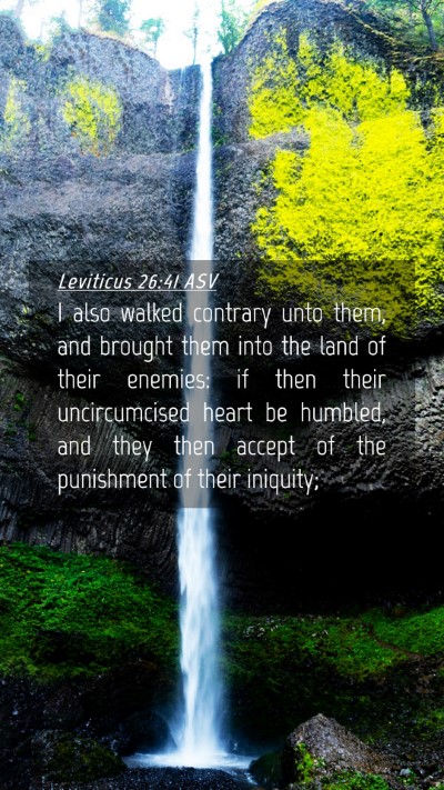 Picture 04 - Leviticus 26:41 ASV Mobile Phone Wallpaper - I also walked contrary unto them, and brought - Mobile Bible Verse Wallpaper