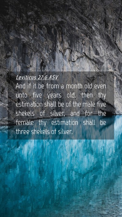 Picture 04 - Leviticus 27:6 ASV Mobile Phone Wallpaper - And if it be from a month old even unto five - Mobile Bible Verse Wallpaper