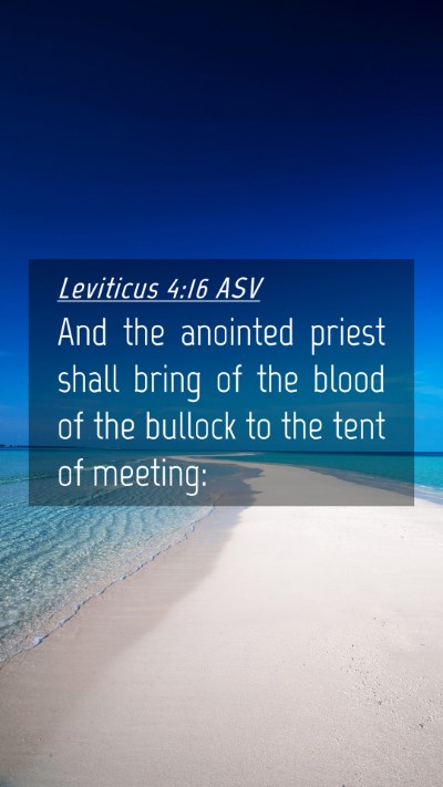 Picture 04 - Leviticus 4:16 ASV Mobile Phone Wallpaper - And the anointed priest shall bring of the blood - Mobile Bible Verse Wallpaper