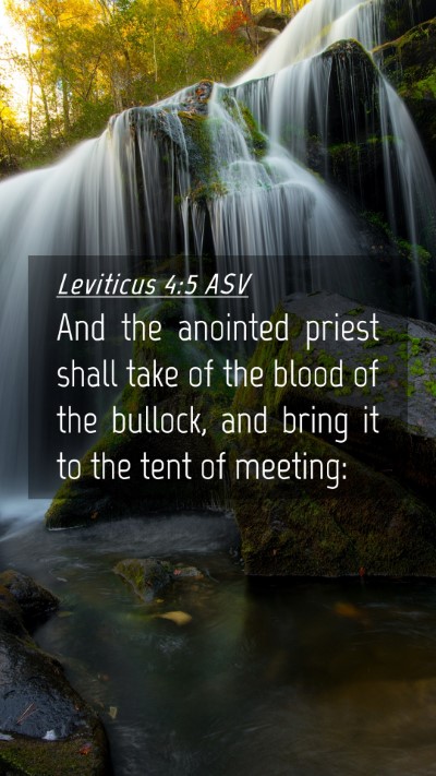 Picture 04 - Leviticus 4:5 ASV Mobile Phone Wallpaper - And the anointed priest shall take of the blood - Mobile Bible Verse Wallpaper