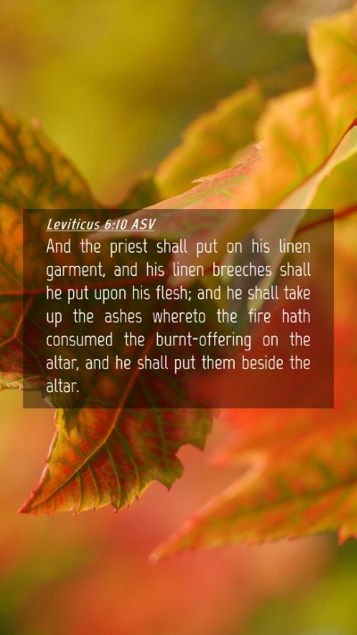 Picture 04 - Leviticus 6:10 ASV Mobile Phone Wallpaper - And the priest shall put on his linen garment, - Mobile Bible Verse Wallpaper