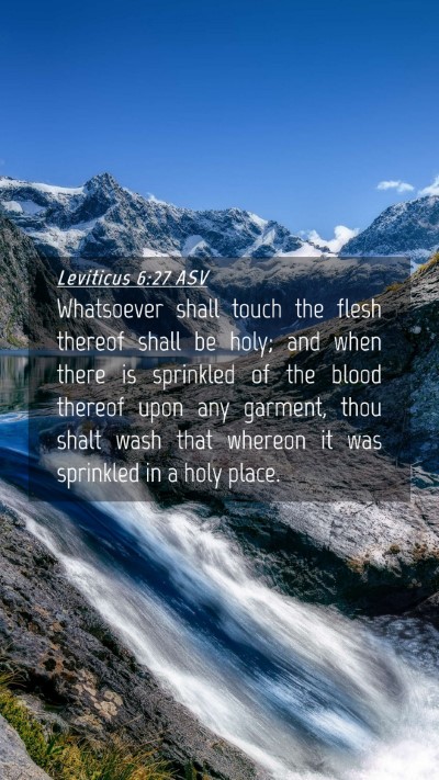 Picture 04 - Leviticus 6:27 ASV Mobile Phone Wallpaper - Whatsoever shall touch the flesh thereof shall be - Mobile Bible Verse Wallpaper
