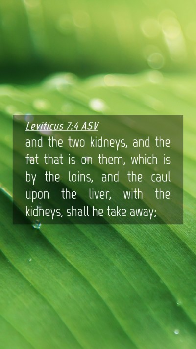 Picture 04 - Leviticus 7:4 ASV Mobile Phone Wallpaper - and the two kidneys, and the fat that is on them, - Mobile Bible Verse Wallpaper