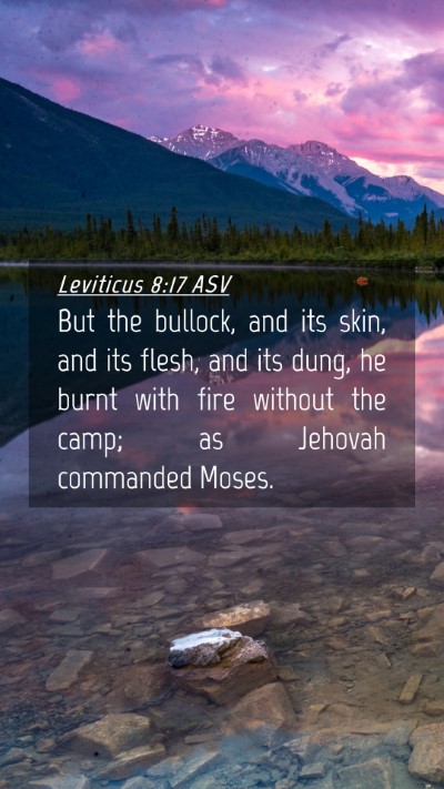 Picture 04 - Leviticus 8:17 ASV Mobile Phone Wallpaper - But the bullock, and its skin, and its flesh, and - Mobile Bible Verse Wallpaper