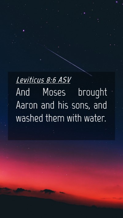 Picture 04 - Leviticus 8:6 ASV Mobile Phone Wallpaper - And Moses brought Aaron and his sons, and washed - Mobile Bible Verse Wallpaper