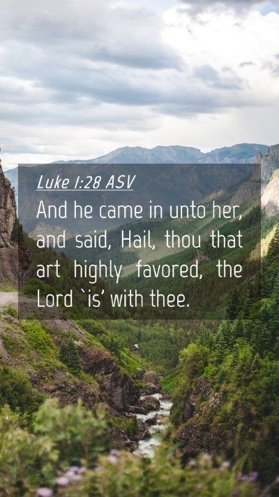 Picture 04 - Luke 1:28 ASV Mobile Phone Wallpaper - And he came in unto her, and said, Hail, thou - Mobile Bible Verse Wallpaper