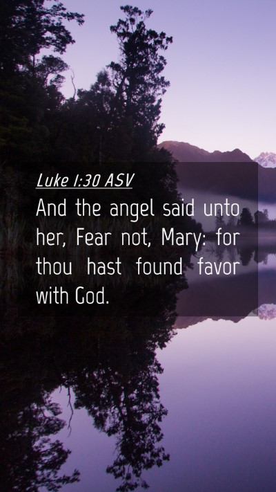 Picture 04 - Luke 1:30 ASV Mobile Phone Wallpaper - And the angel said unto her, Fear not, Mary: for - Mobile Bible Verse Wallpaper