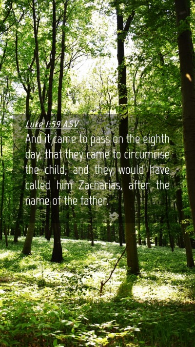 Picture 04 - Luke 1:59 ASV Mobile Phone Wallpaper - And it came to pass on the eighth day, that they - Mobile Bible Verse Wallpaper